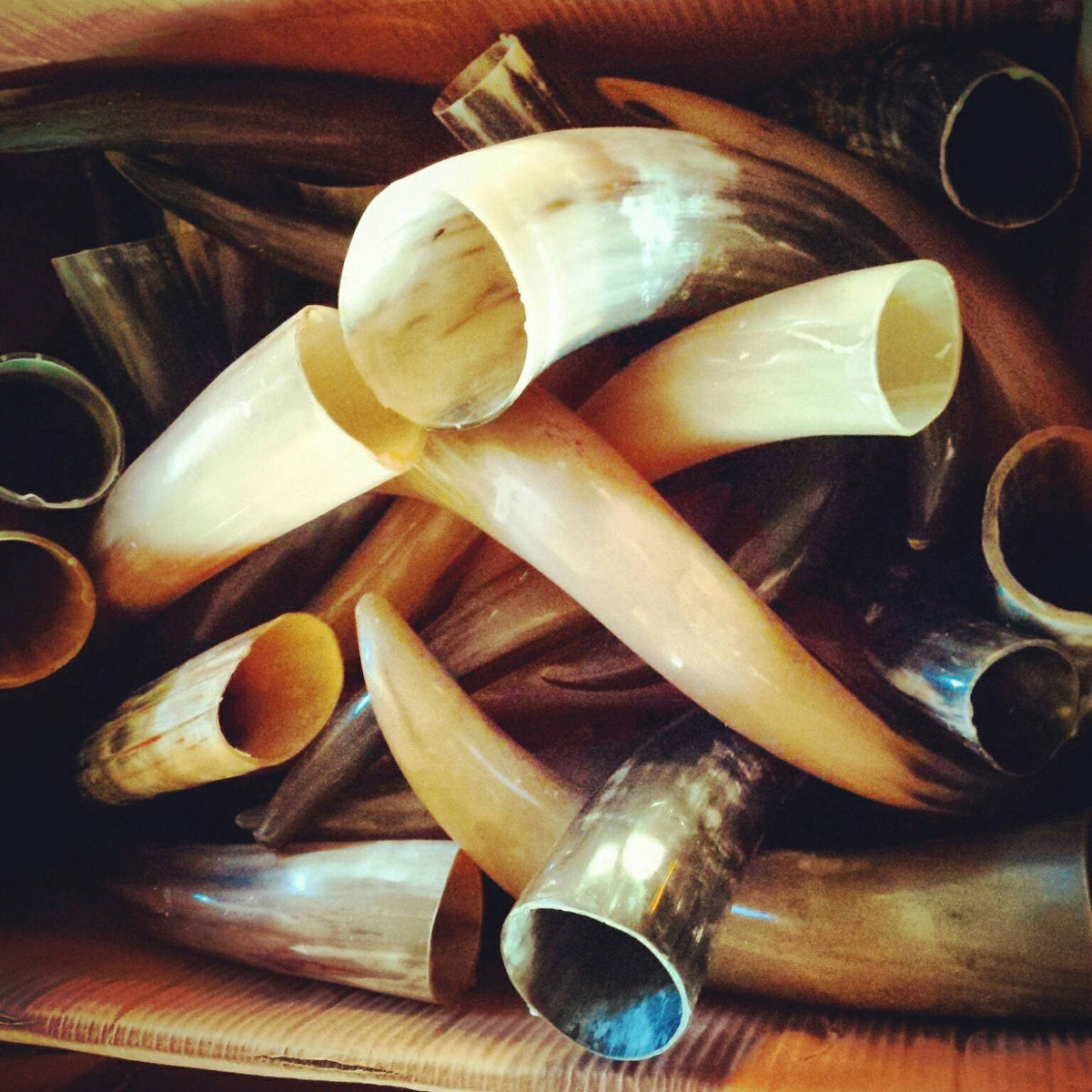 Budget Drinking Horn